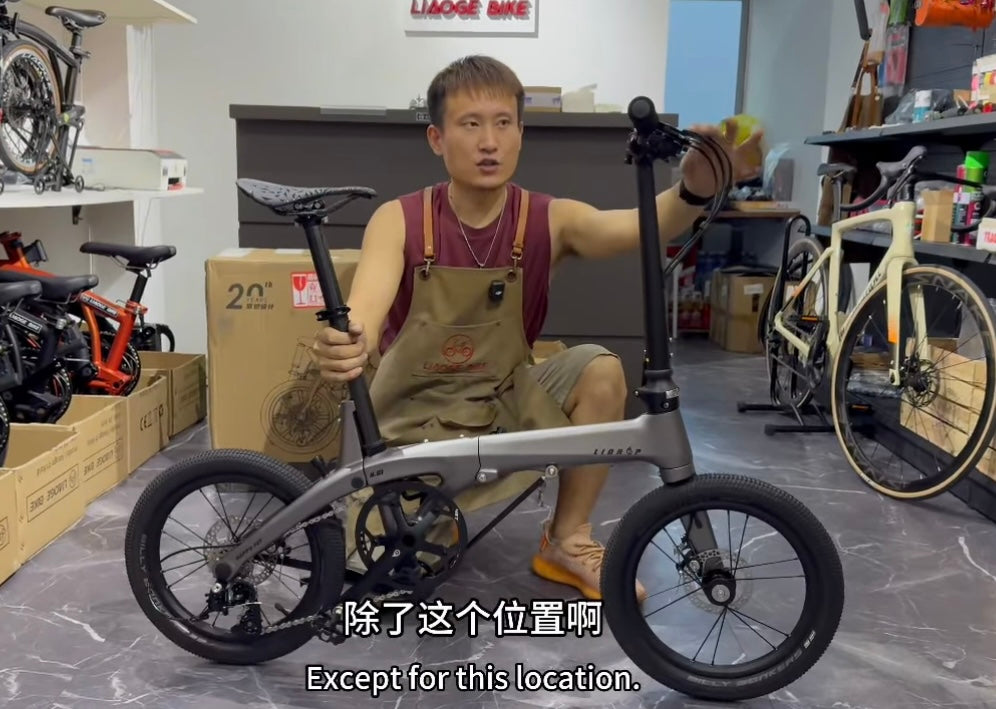 LiDrop folding bike Carbon Fiber Ultra light bike 16" inch wheel 5 speed / Liaoge
