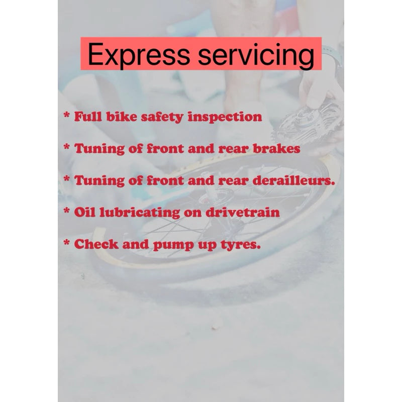 Bicycle servicing / maintenance tuning spring cleaning folding bike mountain bike road bike