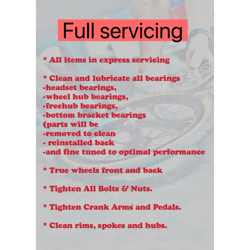 Bicycle servicing / maintenance tuning spring cleaning folding bike mountain bike road bike