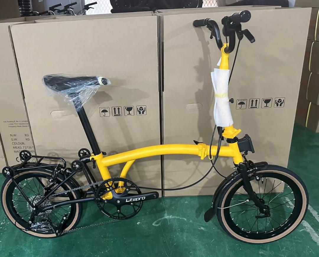 [LIAOGE BIKE] Liaoge888 20 inch trifold bike bicycle rim brake 9 speed folding stable ride (Latest Model)